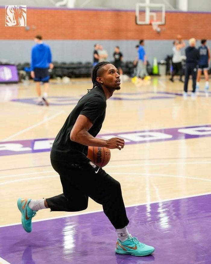 Kaiyun官网入口-达拉斯独行侠比赛